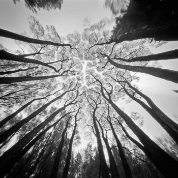 Pinhole example from Flickr